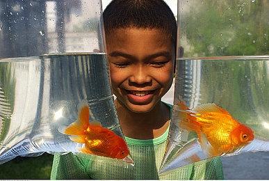 奇幻建造游戏《天神镇》开发进度公布 月底或将上线Beta版本